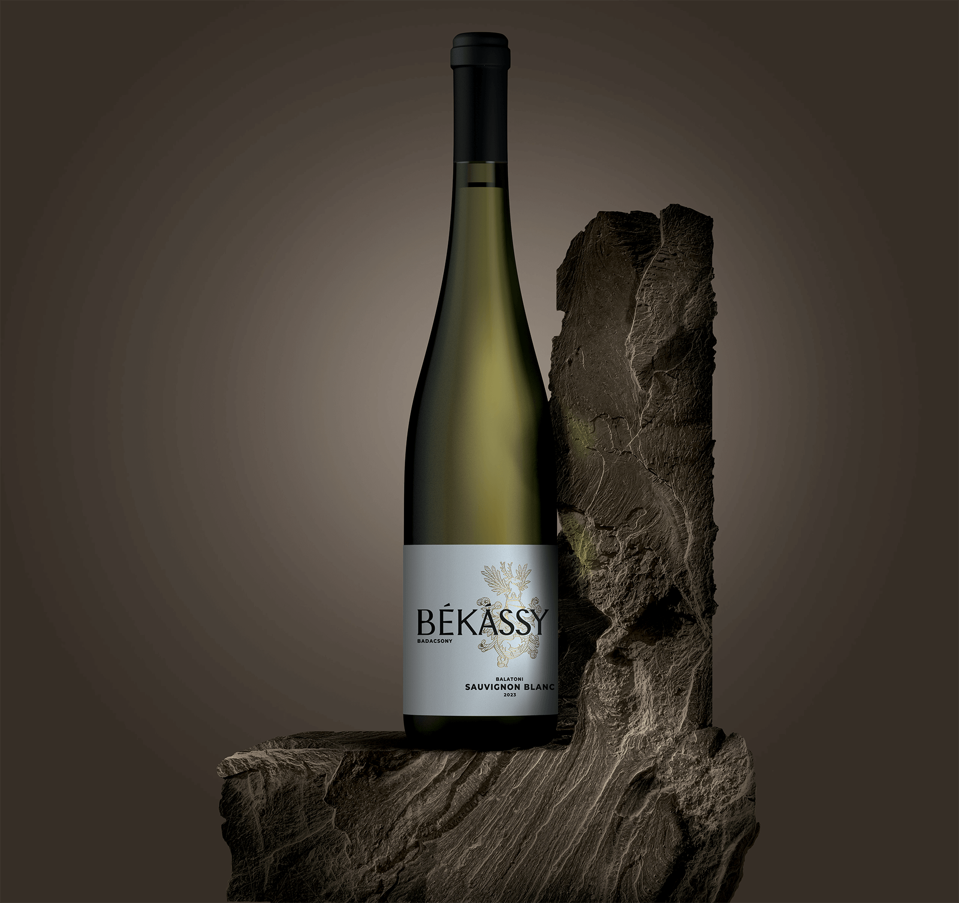 Bekassy_Sauvignon_2023_front