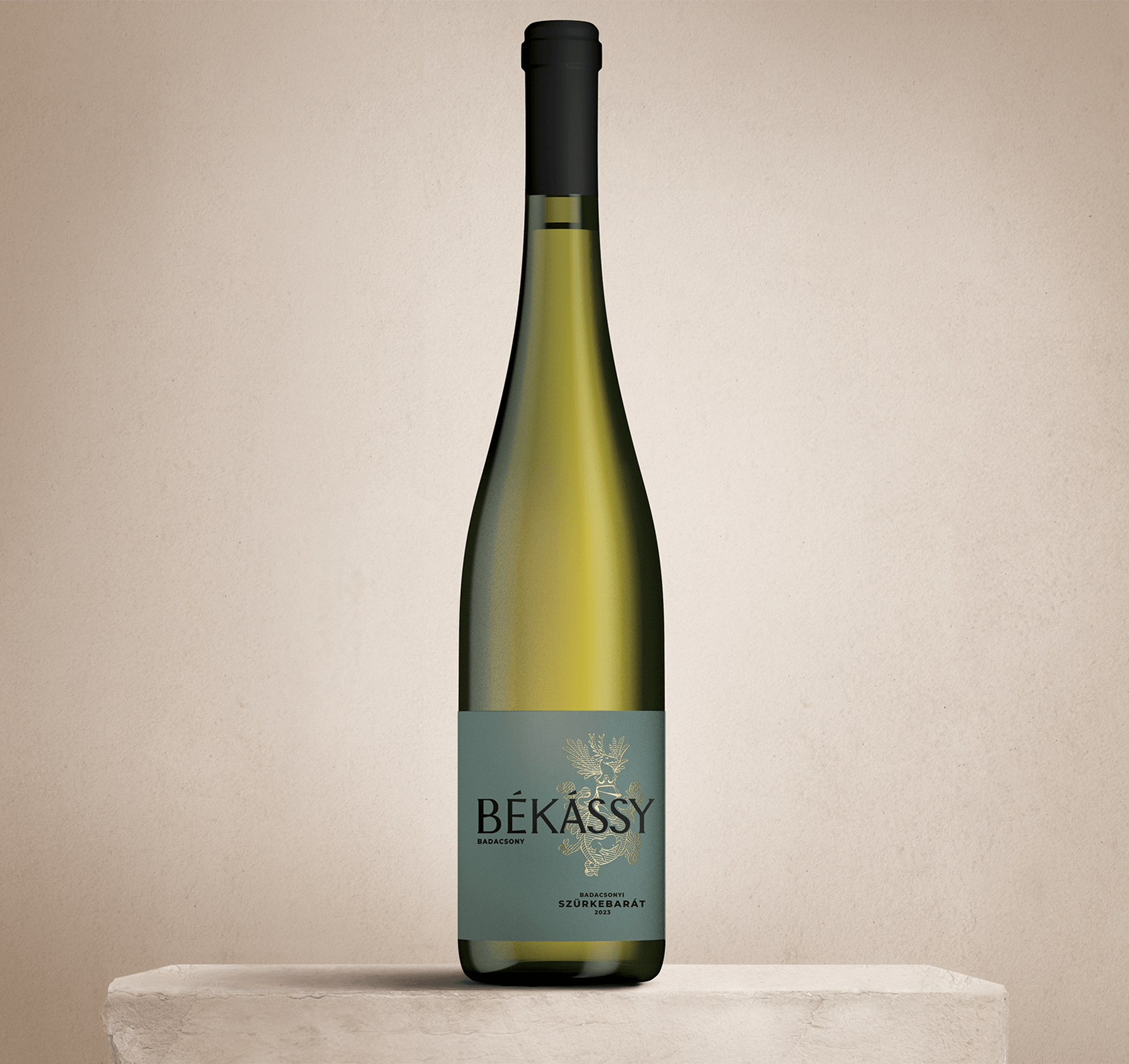 Bekassy_Szurkebarat_2023_front6